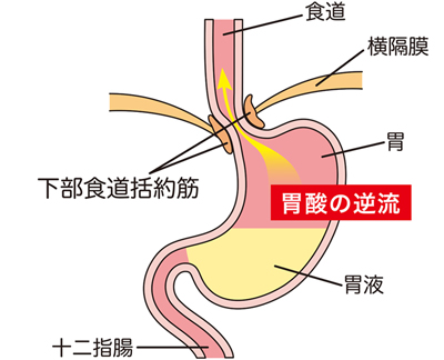 診療科目イメージ